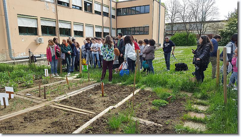 Clicca per scorrere le foto originali ingrandite